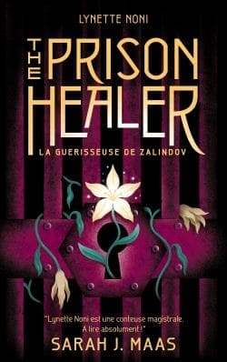 Couverture de The Prison Healer